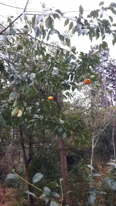 建勲神社(京都府)