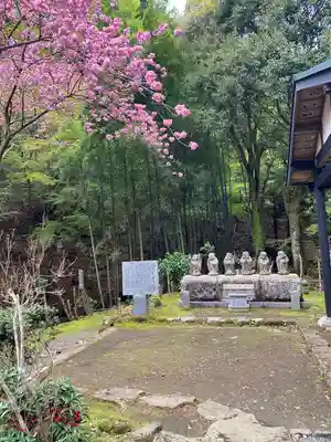 茶湯寺(神奈川県)