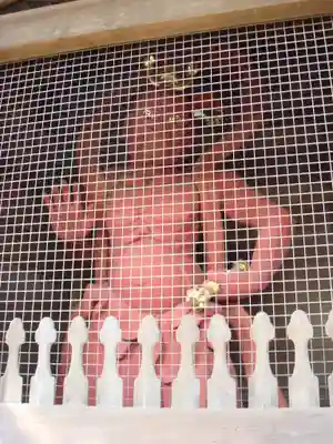 岩殿山安楽寺(吉見観音)の仏像