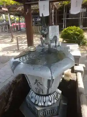 葛井寺の手水舎
