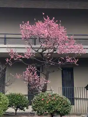 生田神社(兵庫県)