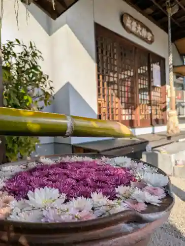 出雲大神宮の{uncategorized: "未分類", other: "その他", undefined: "問題あり", building: "その他建物", grave: "お墓", sacred_gate: "鳥居", guardian: "狛犬", statue: "像", buddha: "仏像", history: "歴史", nature: "自然", garden: "庭園", animal: "動物", pagoda: "塔", temizu: "手水舎", mountain_gate: "山門・神門", sanctuary: "本殿・本堂", subordinate: "末社・摂社", art: "芸術", scenery: "景色", jizo: "地蔵", ema: "絵馬", goshuin: "御朱印", omikuji: "おみくじ", items: "授与品その他", amulet: "お守り", goshuincho: "御朱印帳", eats: "食事", festival: "お祭り", votive_dance: "神楽", shichigosan: "七五三参", wedding: "結婚式", experience: "体験その他", initially: "初詣", around: "周辺", anti_infection: "感染症対策"}