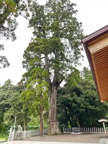 彌美神社(福井県)