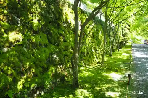 三千院門跡のその他建物