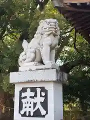 新田白山神社の狛犬