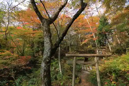 隠津島神社の鳥居