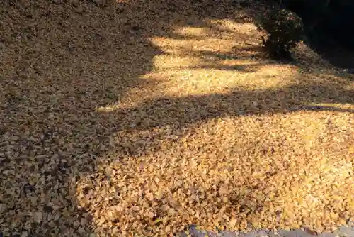 三春大神宮の自然