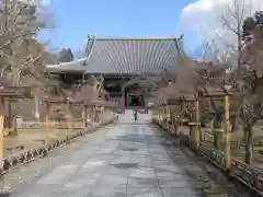 根来寺 智積院(京都府)