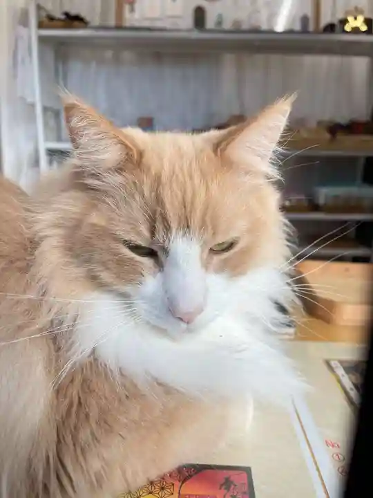 駒込妙義神社(東京都)