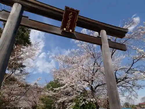 高麗神社の鳥居