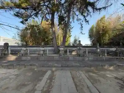 大樹寺（松安院大樹寺）の{uncategorized: "未分類", other: "その他", undefined: "問題あり", building: "その他建物", grave: "お墓", sacred_gate: "鳥居", guardian: "狛犬", statue: "像", buddha: "仏像", history: "歴史", nature: "自然", garden: "庭園", animal: "動物", pagoda: "塔", temizu: "手水舎", mountain_gate: "山門・神門", sanctuary: "本殿・本堂", subordinate: "末社・摂社", art: "芸術", scenery: "景色", jizo: "地蔵", ema: "絵馬", goshuin: "御朱印", omikuji: "おみくじ", items: "授与品その他", amulet: "お守り", goshuincho: "御朱印帳", eats: "食事", festival: "お祭り", votive_dance: "神楽", shichigosan: "七五三参", wedding: "結婚式", experience: "体験その他", initially: "初詣", around: "周辺", anti_infection: "感染症対策"}