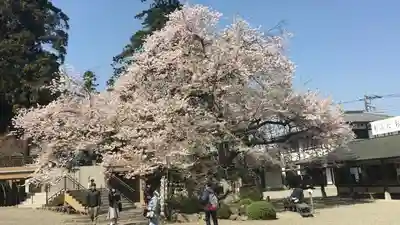 高麗神社のその他建物