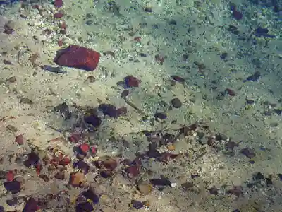 嚴島神社(山口県)