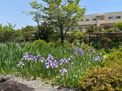 金剛寺(奈良県)