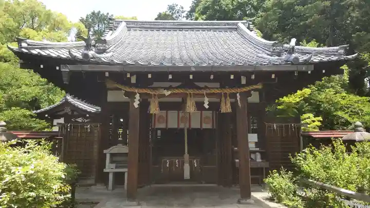 新熊野神社の本殿・本堂