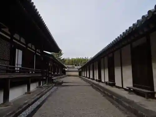 法隆寺(奈良県)