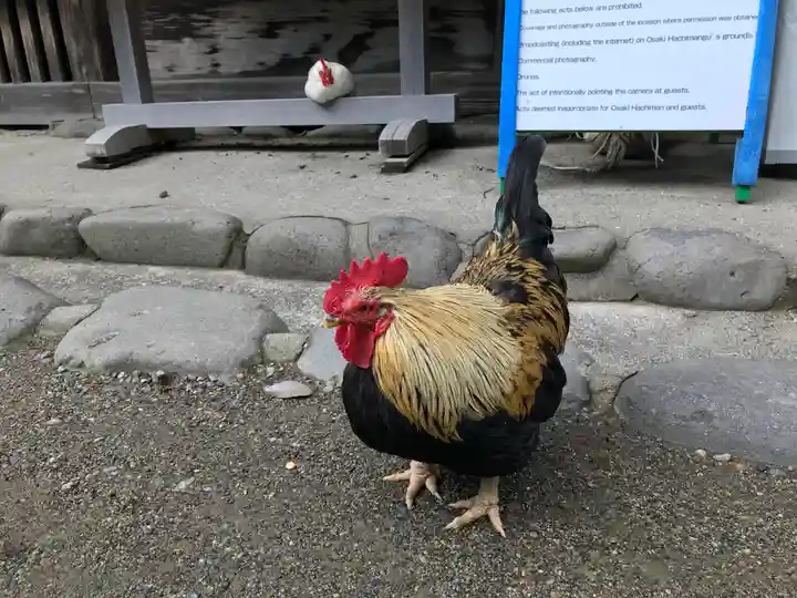 大崎八幡宮の動物