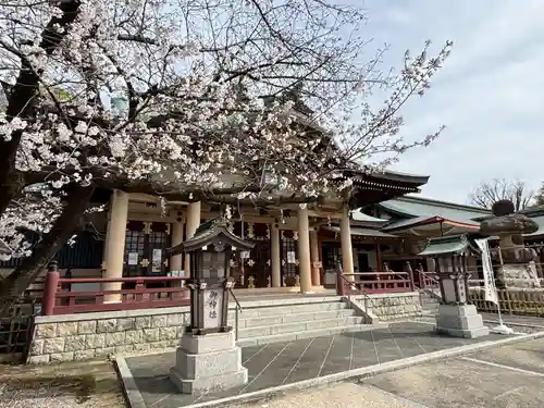 植田八幡宮の自然