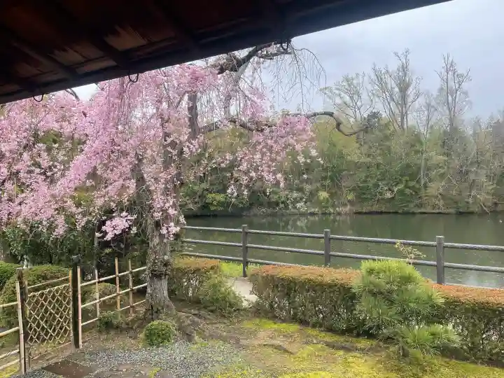正法寺の{uncategorized: "未分類", other: "その他", undefined: "問題あり", building: "その他建物", grave: "お墓", sacred_gate: "鳥居", guardian: "狛犬", statue: "像", buddha: "仏像", history: "歴史", nature: "自然", garden: "庭園", animal: "動物", pagoda: "塔", temizu: "手水舎", mountain_gate: "山門・神門", sanctuary: "本殿・本堂", subordinate: "末社・摂社", art: "芸術", scenery: "景色", jizo: "地蔵", ema: "絵馬", goshuin: "御朱印", omikuji: "おみくじ", items: "授与品その他", amulet: "お守り", goshuincho: "御朱印帳", eats: "食事", festival: "お祭り", votive_dance: "神楽", shichigosan: "七五三参", wedding: "結婚式", experience: "体験その他", initially: "初詣", around: "周辺", anti_infection: "感染症対策"}