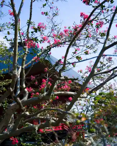 和光院(田島の血不動尊)(茨城県)