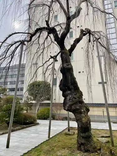 蓮香院(宮城県)