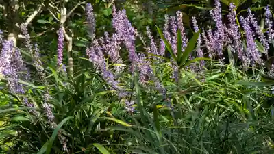 三千院門跡(京都府)