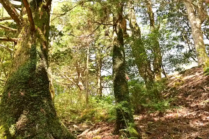 篠山神社(愛媛県)