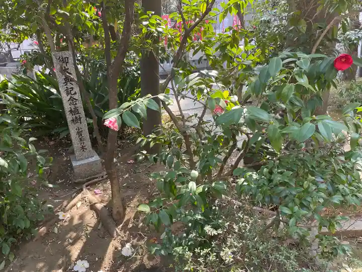 金刀比羅宮東京分社(東京都)