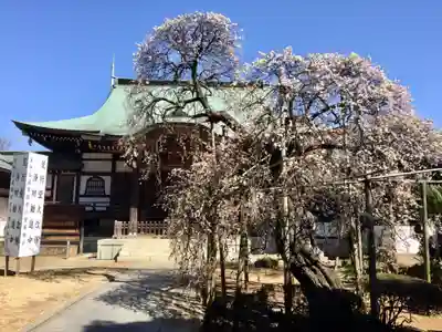 遠壽院の本殿・本堂