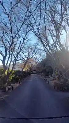 高円寺(東京都)