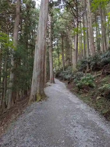 三峯神社(埼玉県)