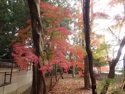 河俣神社の自然