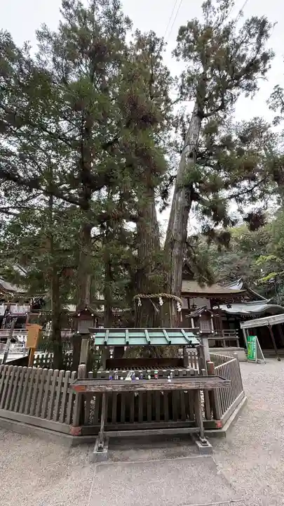 大神神社(奈良県)