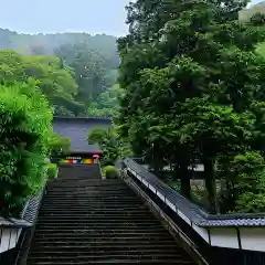 臨済寺(静岡県)