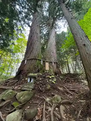 戸隠神社火之御子社(長野県)