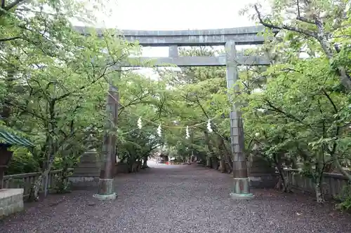 焼津神社の鳥居