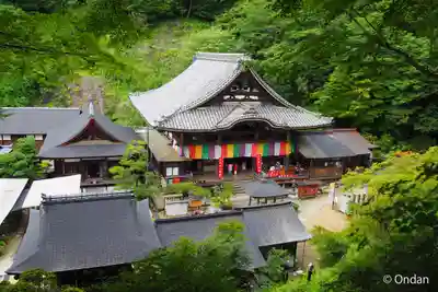 岡寺(龍蓋寺)(奈良県)