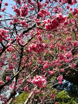 靖國神社(東京都)