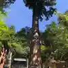 由岐神社の自然
