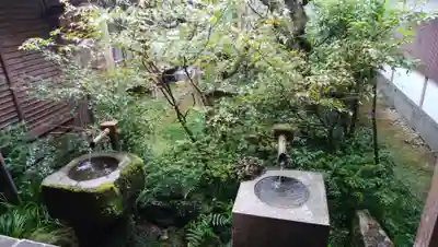 三千院門跡の手水舎