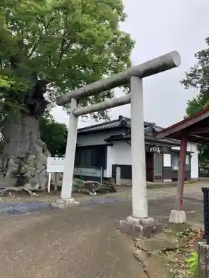 竃神社(茨城県)