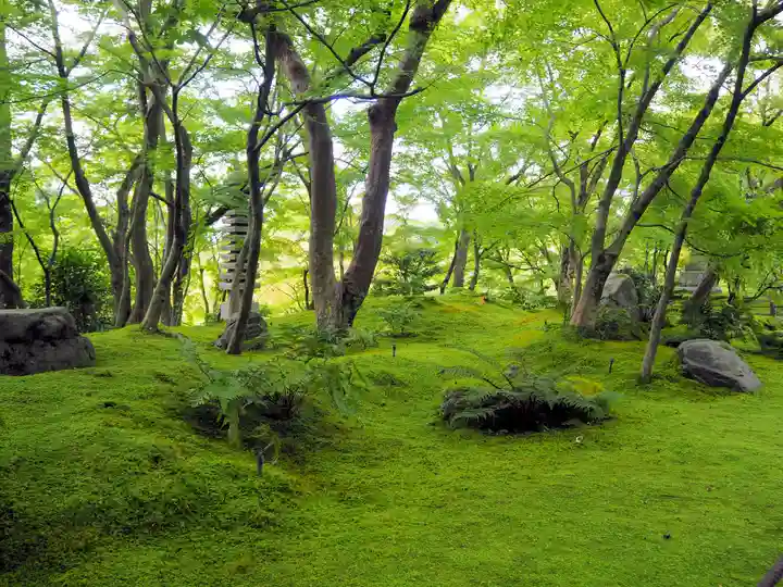 禅林寺(永観堂)の自然