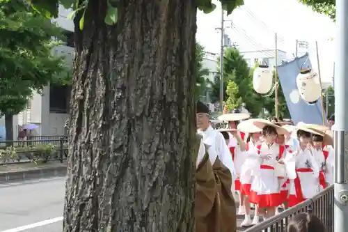 賀茂御祖神社（下鴨神社）(京都府)