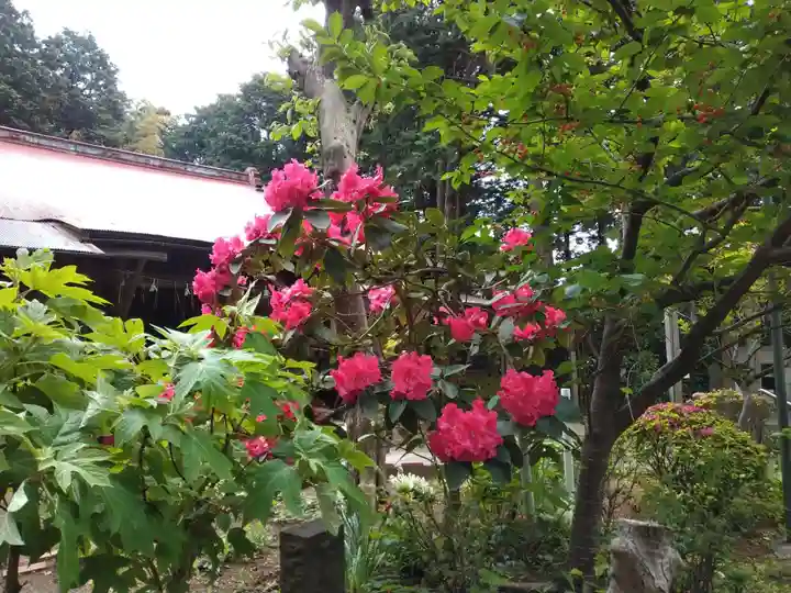 福徳院(神奈川県)