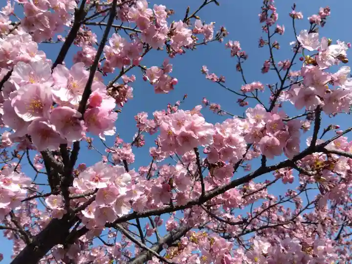 笠松八雲神社(三重県)
