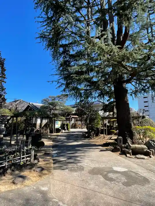 東光寺(東京都)