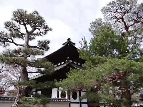 東福禅寺（東福寺）(京都府)