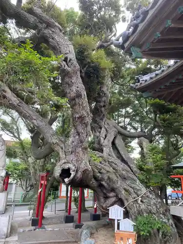 高塚熊野神社の庭園