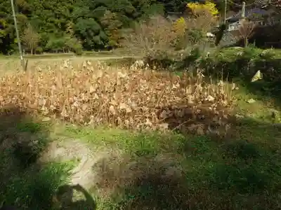 明教寺(山口県)