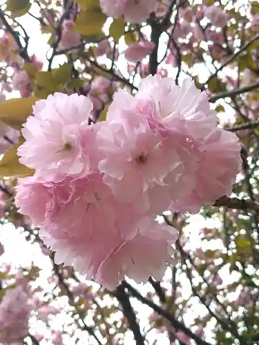 國鉾神社の自然
